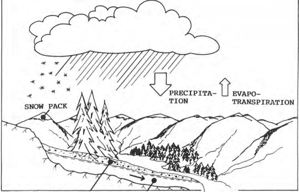 HBV Component